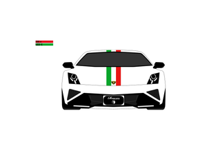CarDress indoor car cover for Lamborghini Gallardo front view